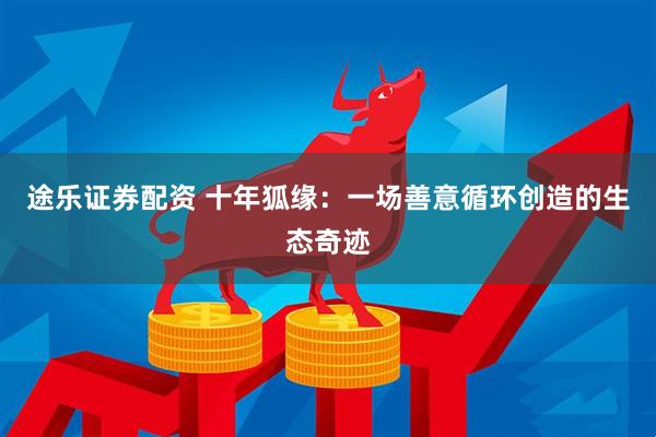 途乐证券配资 十年狐缘：一场善意循环创造的生态奇迹