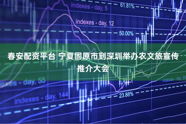 春安配资平台 宁夏固原市到深圳举办农文旅宣传推介大会